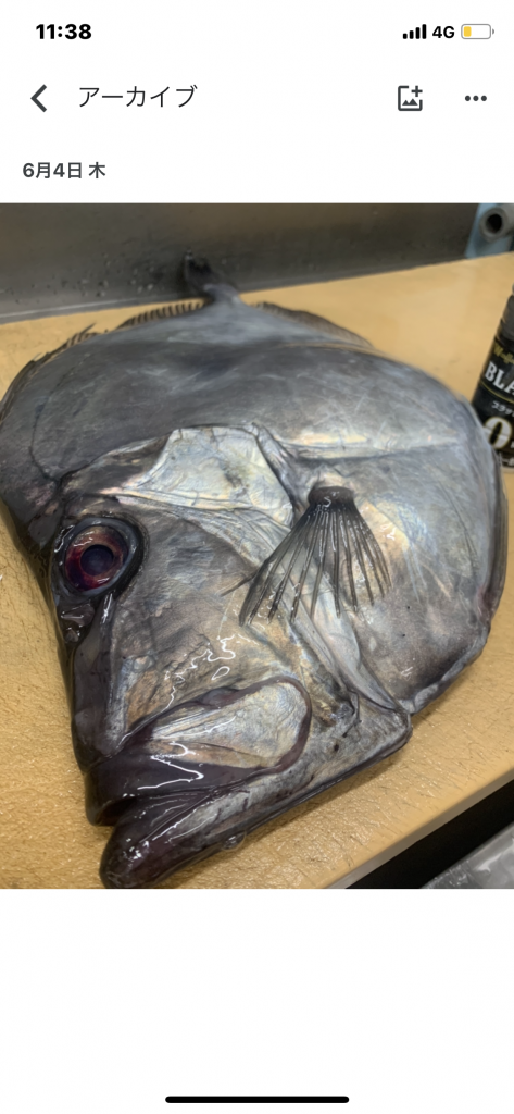 いい馬頭が入りました 黒門市場 鮮魚川崎 いい馬頭が入りました 黒門市場 鮮魚川崎